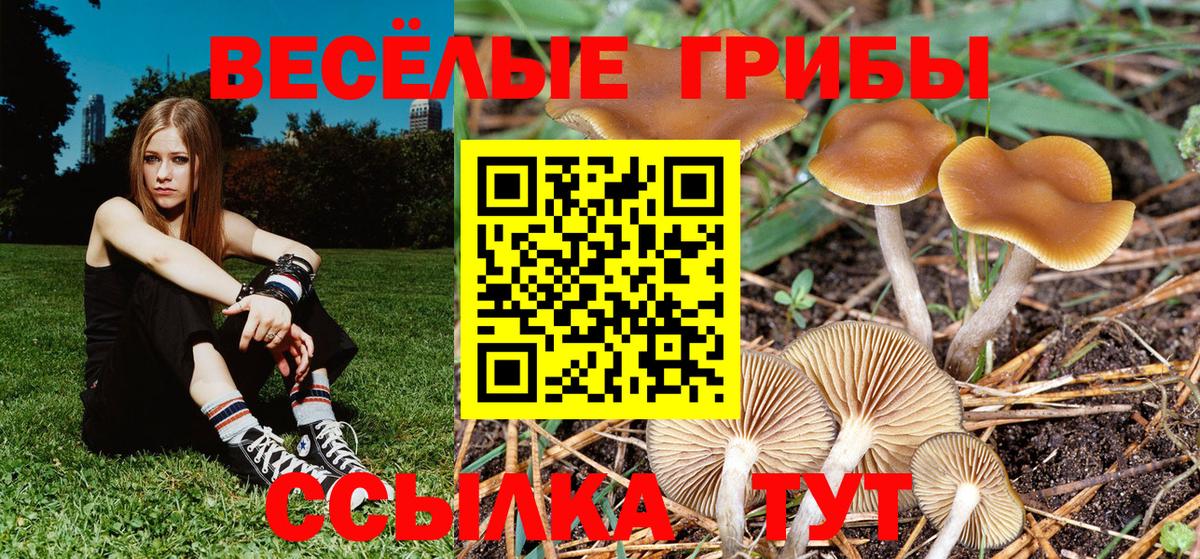 Галлюциногенные грибы Magic Shrooms  Вход с VPN  Большой Камень 