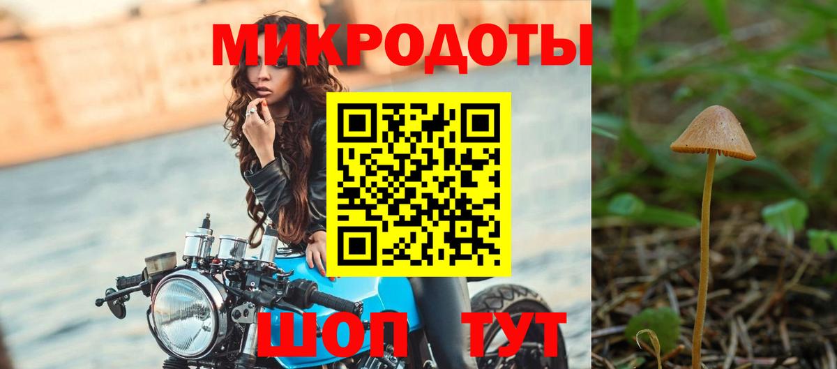 Галлюциногенные грибы прущие грибы Большой Камень